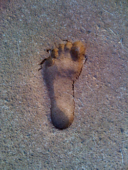 footprint